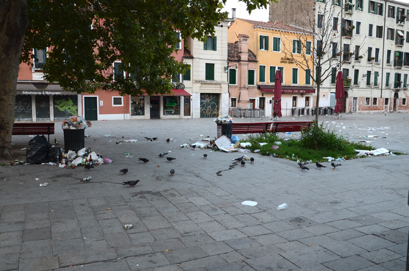 DSC_2322.jpg DSC 2322