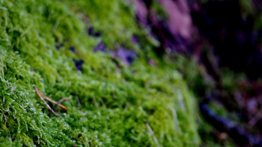 [11%2520Feb%25202%255B3%255D.jpg]