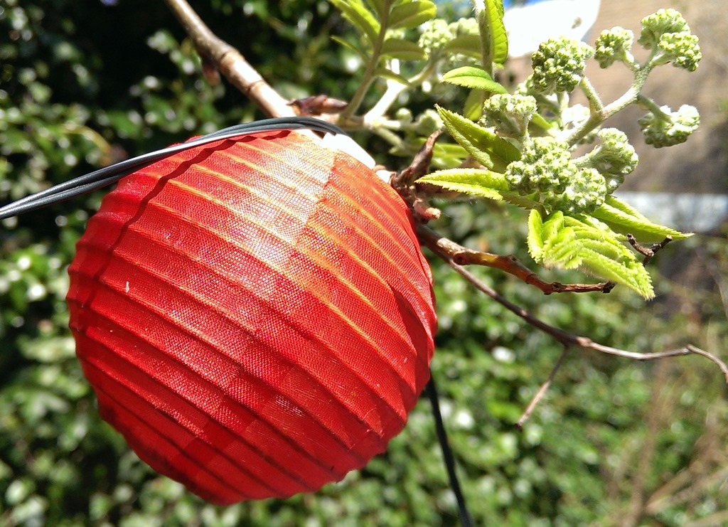 [2013-04-20%252012.12.54%255B7%255D.jpg]