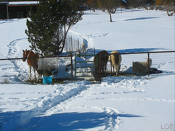 [IMG_821110.jpg]