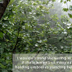showering in the rain jarod kintz.jpg
