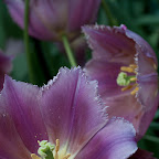 DSC_0791.jpg