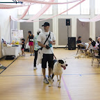 _MG_9382.jpg