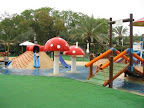 p1239589872(7).jpg