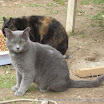 IMG_2776.JPG