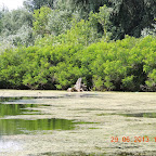DSCN8384.JPG