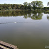 dsc03329.jpg