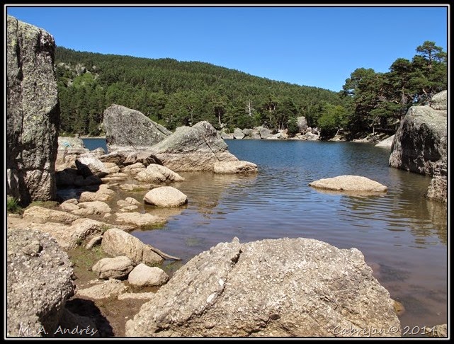 Vaca-soria 040 Vaca-soria 040