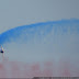 DSC00602.jpg