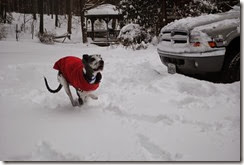 DSC_0157 DSC_0157