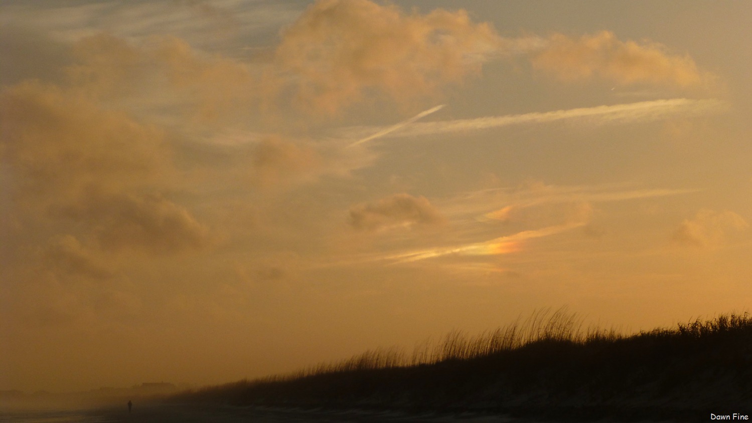 [Huntington%2520Beach%2520SP%2520last%2520photos_007%255B5%255D.jpg]