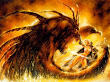 Beast Attackes The Beauty