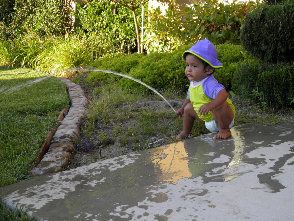 [summer%2520gio%2520with%2520drip%2520system%255B6%255D.jpg]