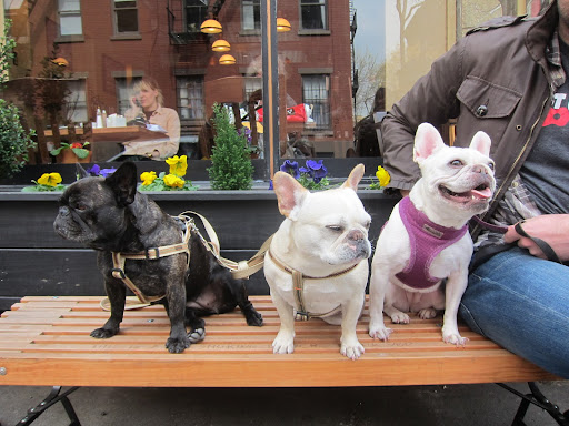 Potato, how about we just relax on this bench for a while instead?  Francesca and I will leave the skateboarding to you!