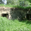 dsc06880.jpg