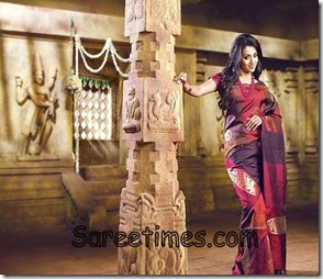 Trisha_Designer_Saree