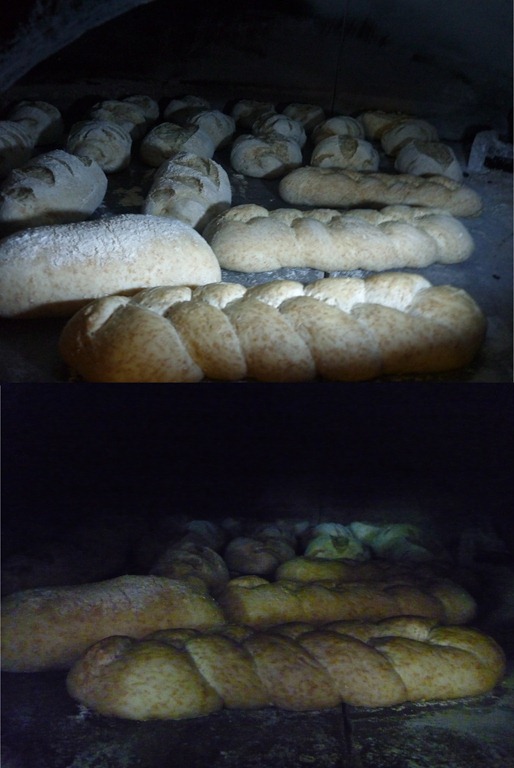 [pane-accademia-del-tartufo-22.jpg]