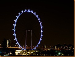 Singapore Flyer Singapore Flyer