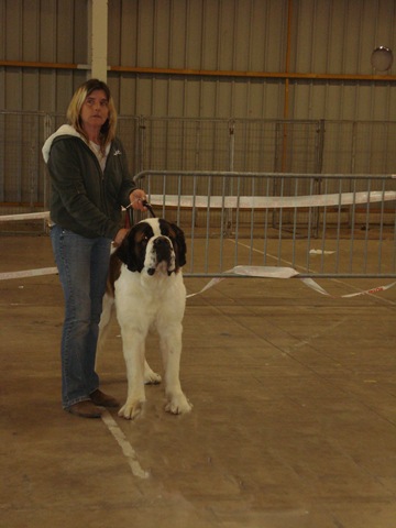 [GINCLASSEINTERMEDIAIREBEZIERS2012164.jpg]