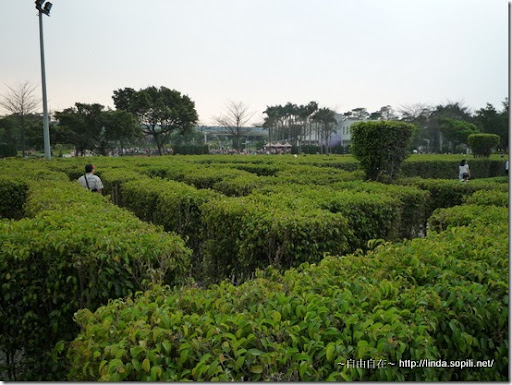 2010台北花博-迷宮花園 2010台北花博-迷宮花園