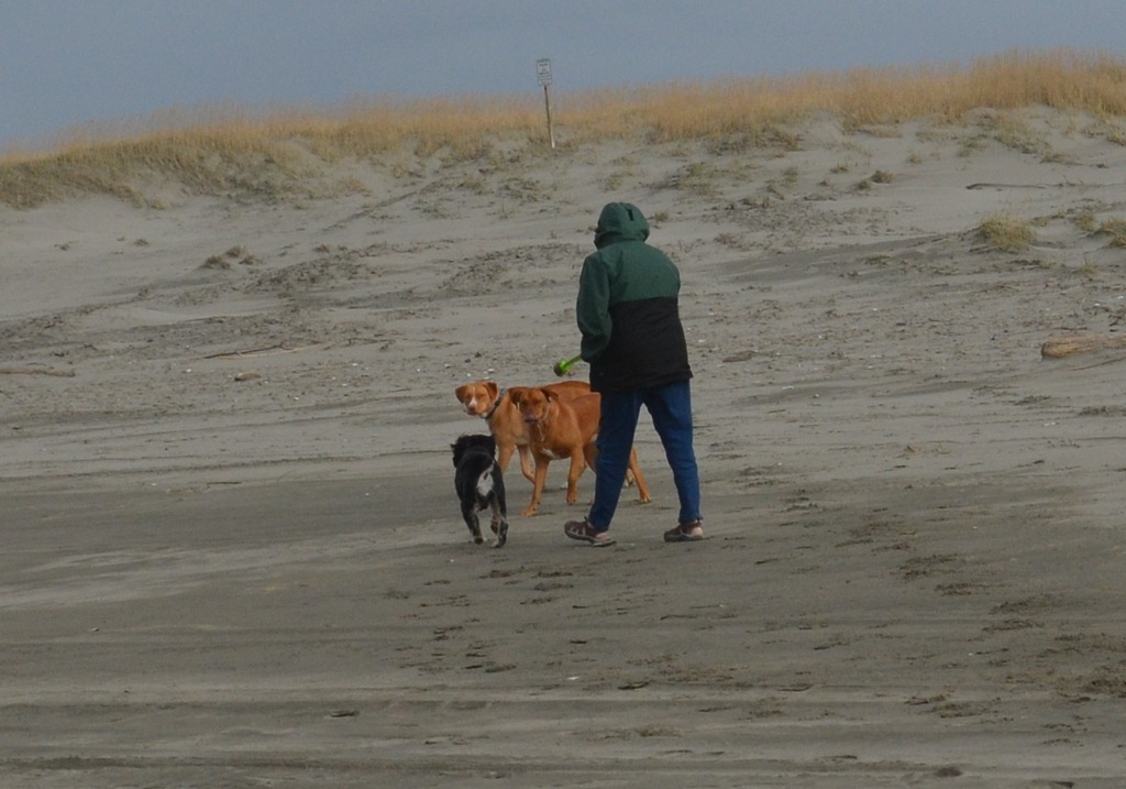 [north-coast_2264.jpg]