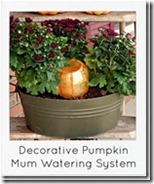 pumpkin-automatic-mum-watering-syste[1]