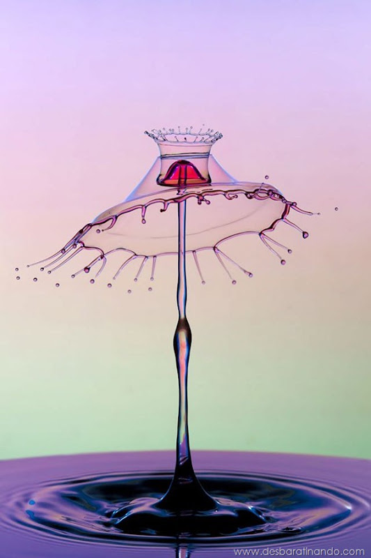 liquid-drop-art-gotas-caindo-foto-velocidade-hora-certa-desbaratinando (13)