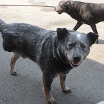 DSCN4920.jpg