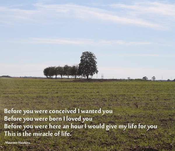 [love_quote%255B2%255D.jpg]