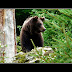 P1120110.JPG