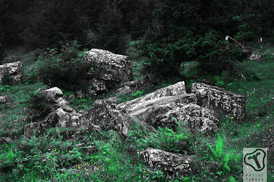 Elm - Schweiz