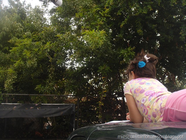 [DSC06522%255B3%255D.jpg]