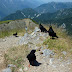 2011.07.10. - M&M na Dovški Babi