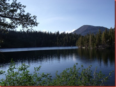 mammoth 108