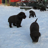 IMG_1958.JPG