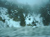 Ski Trip 2005