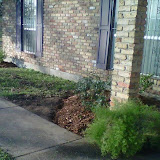 New Flower Beds4.jpg