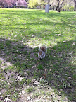 Happy Squirrel