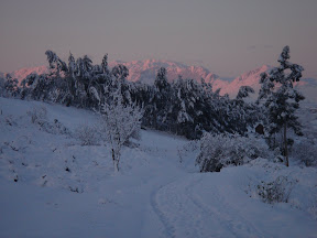 DSC00964.JPG