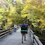 DSC00783.JPG