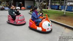 CAM09204 CAM09204