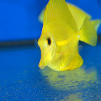 DSC_2185.jpg