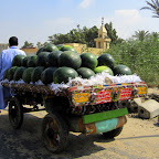 GizaEgypt GizaEgypt