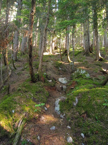 [IMG_56574.jpg]