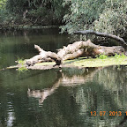 DSCN2971.JPG