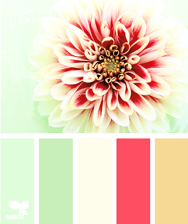 PetalPalette620