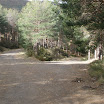 P4120102.JPG