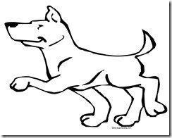 Cachorro 22