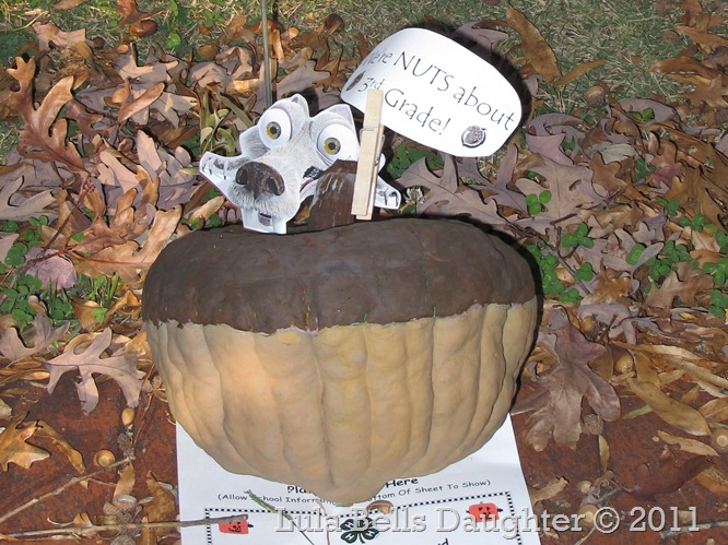 2011-10-31 2011-10-31 035 2011-10-31 2011-10-31 035