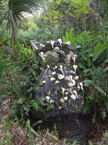 [Historic%2520Spanish%2520Point%2520194%255B3%255D.jpg]